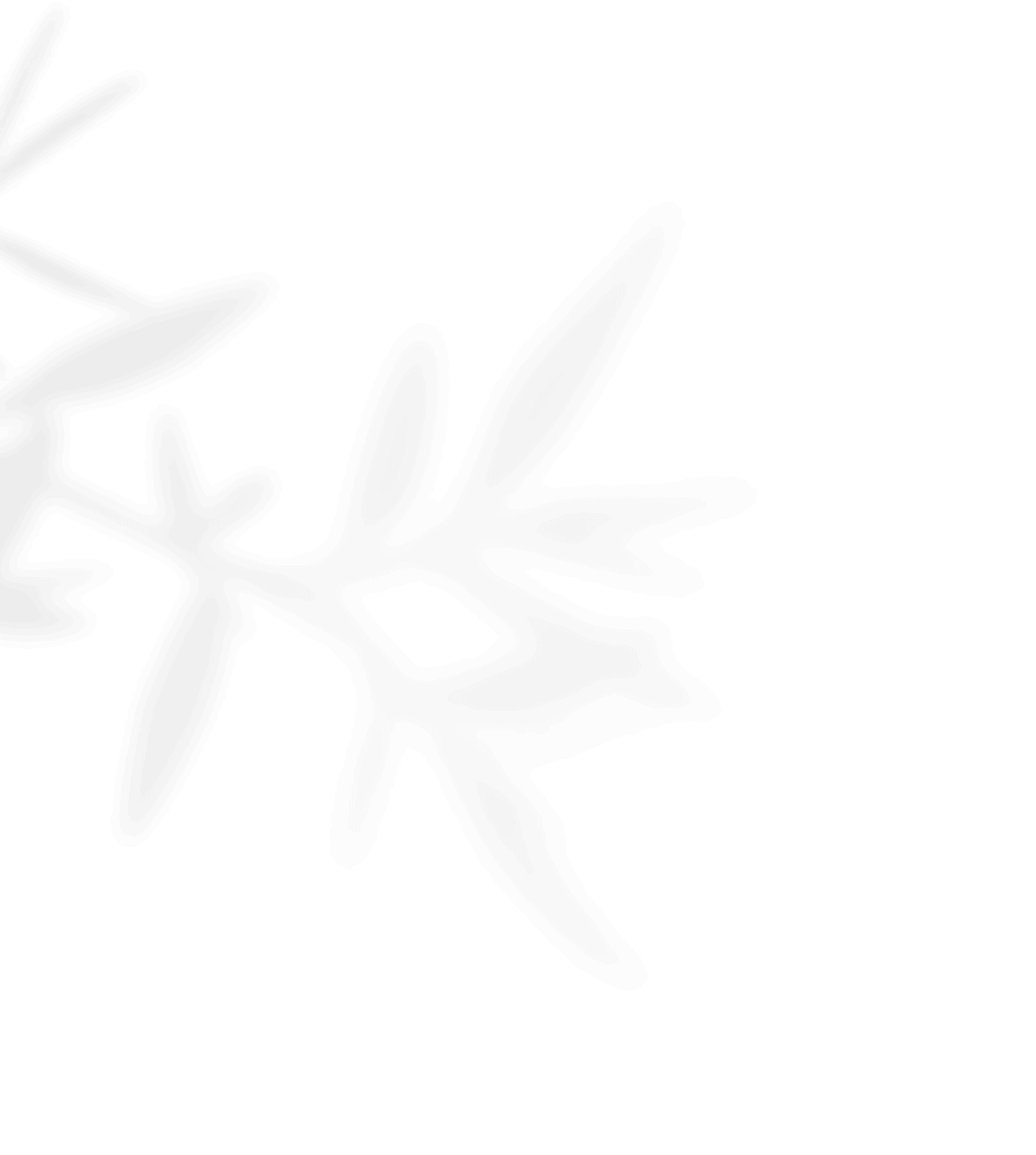 https://oursecretgarden.com.au/osg/wp-content/uploads/2020/11/shadow_leaves_01.png
