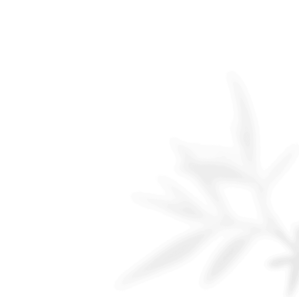 https://oursecretgarden.com.au/osg/wp-content/uploads/2020/11/shadow_leaves_02.png