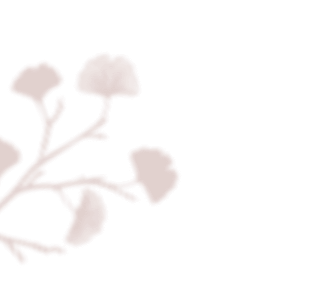 https://oursecretgarden.com.au/osg/wp-content/uploads/2020/12/floating_image_01.png