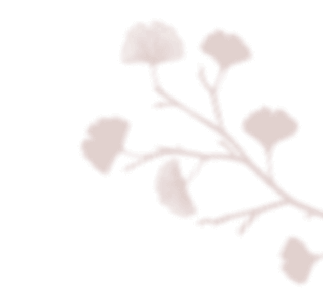 https://oursecretgarden.com.au/osg/wp-content/uploads/2020/12/floating_image_02.png
