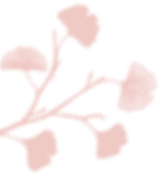 https://oursecretgarden.com.au/osg/wp-content/uploads/2020/12/floating_image_03.png