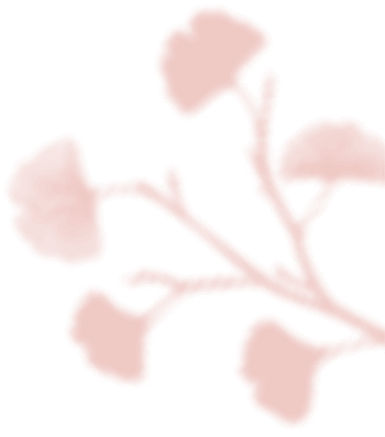 https://oursecretgarden.com.au/osg/wp-content/uploads/2020/12/floating_image_04.png