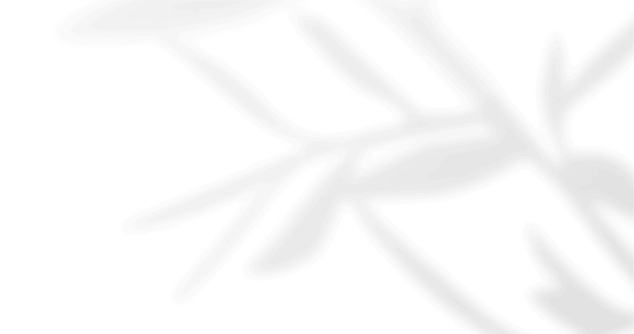 https://oursecretgarden.com.au/osg/wp-content/uploads/2020/12/floating_image_05.png