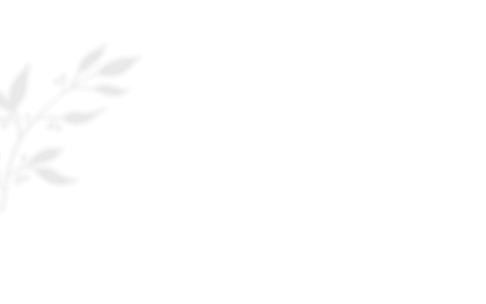 https://oursecretgarden.com.au/osg/wp-content/uploads/2020/12/shadow_leaves_01.png