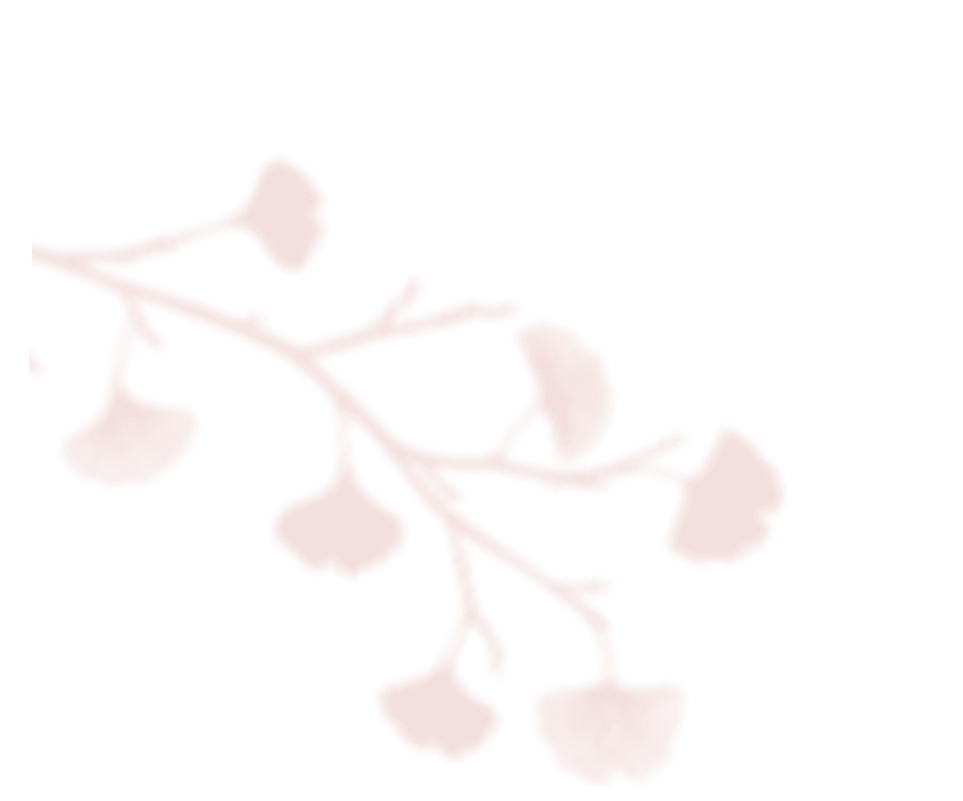 https://oursecretgarden.com.au/osg/wp-content/uploads/2020/12/shadow_leaves_06.png