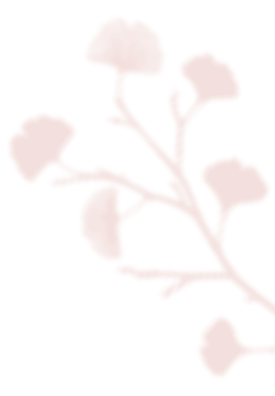 https://oursecretgarden.com.au/osg/wp-content/uploads/2020/12/shadow_leaves_07.png