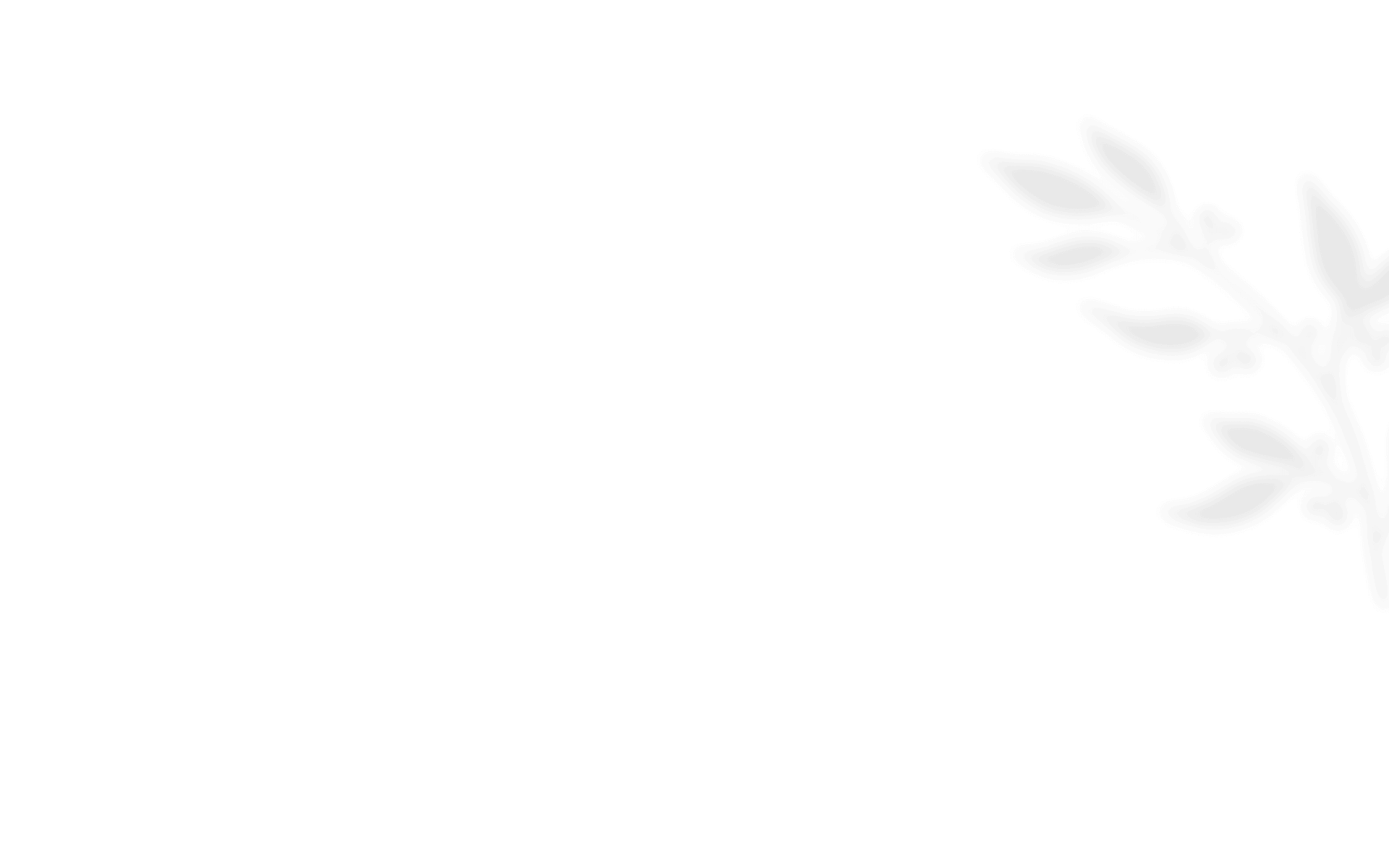 https://oursecretgarden.com.au/osg/wp-content/uploads/2021/01/shadow_leaves_08.png