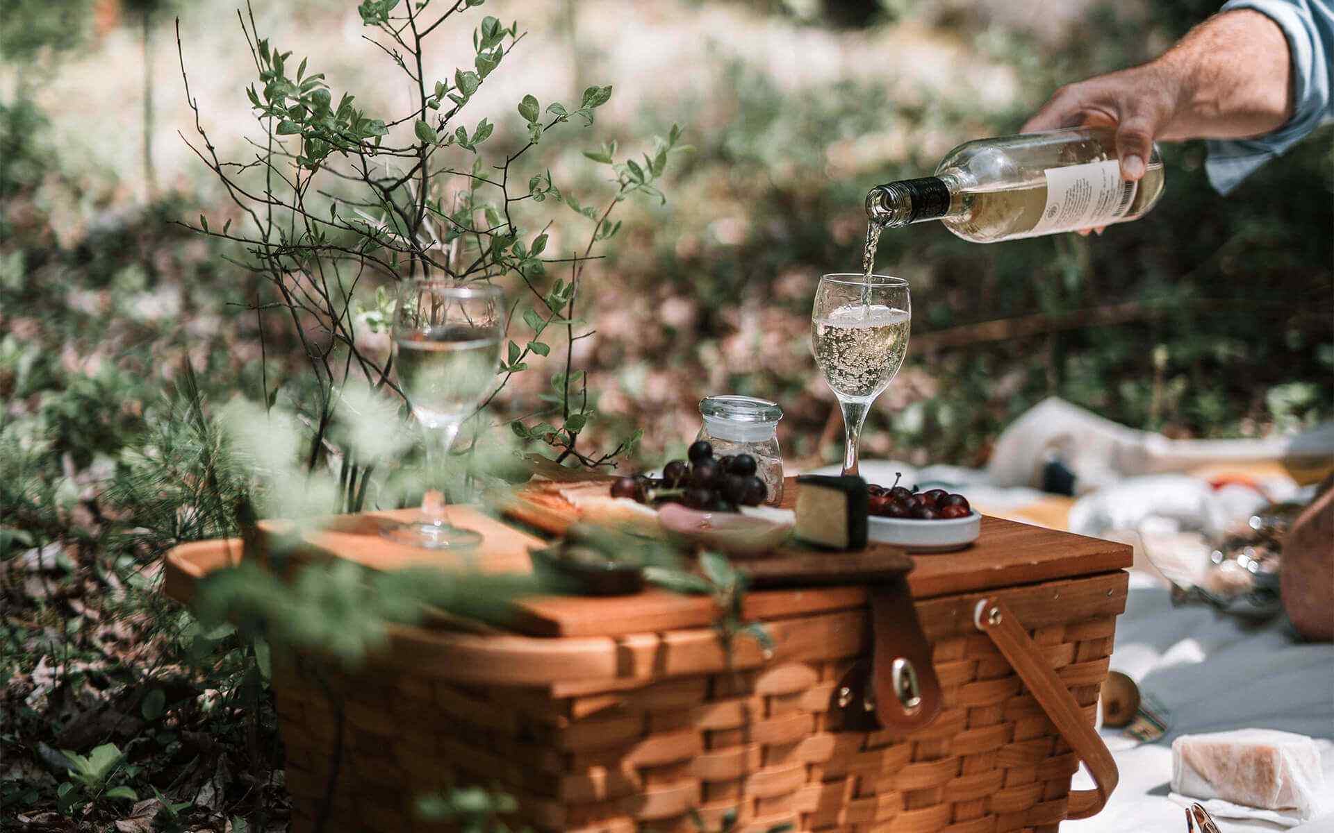 https://oursecretgarden.com.au/osg/wp-content/uploads/2021/01/single_story_8.jpg